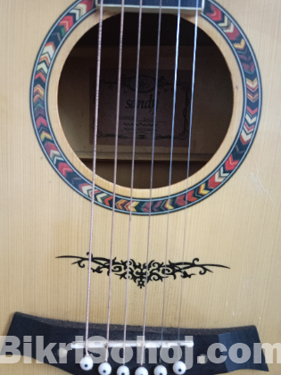 Sandy acoustic guiter